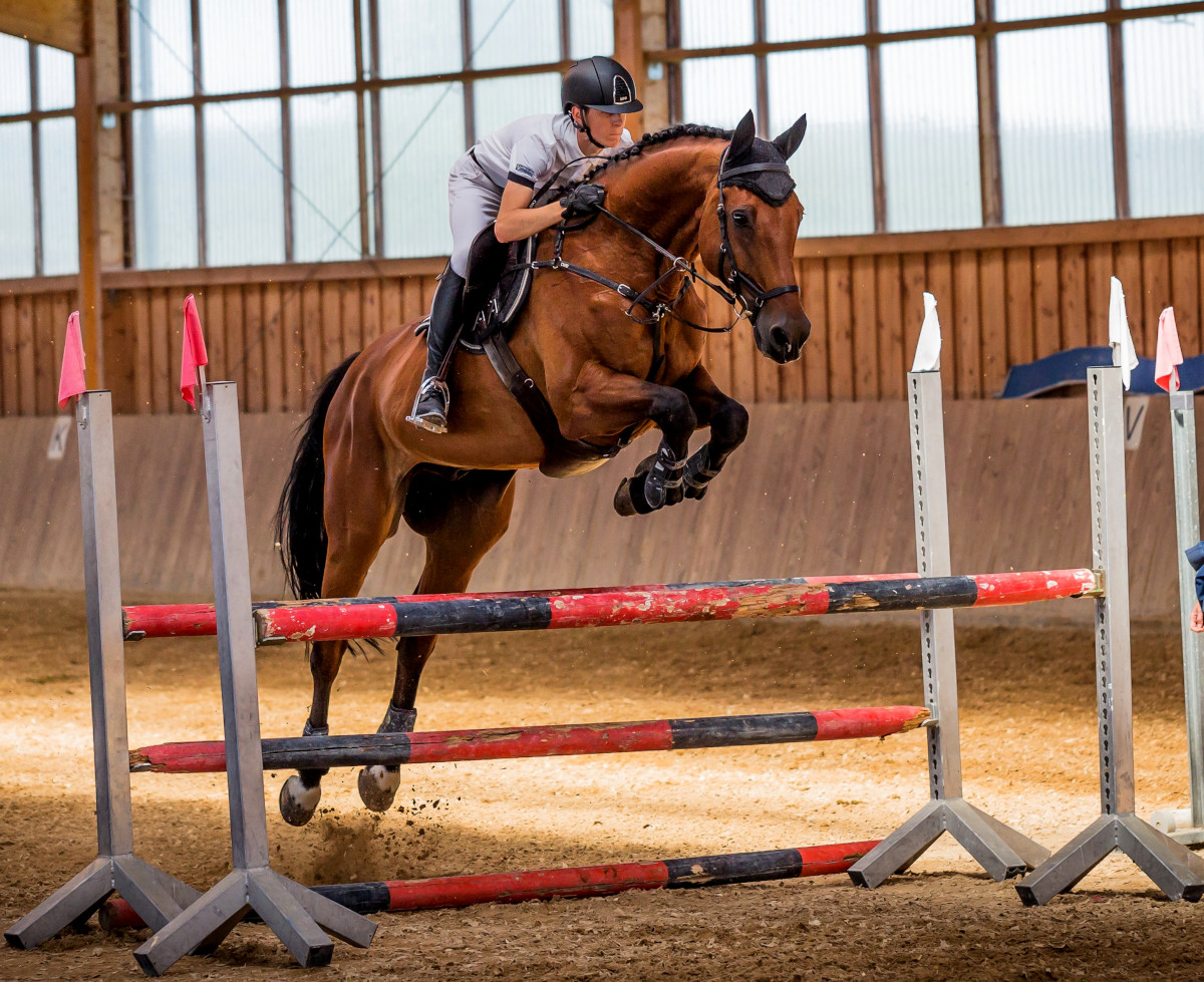 Suelos de caucho para centros Hípicos